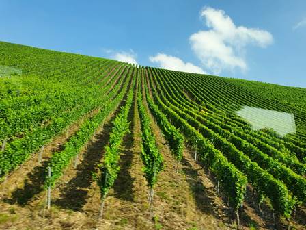 0a0336be-7a9a-428e-b180-4d6f4fadf832