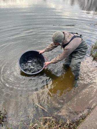 20240309_einsetzen_forellen_1