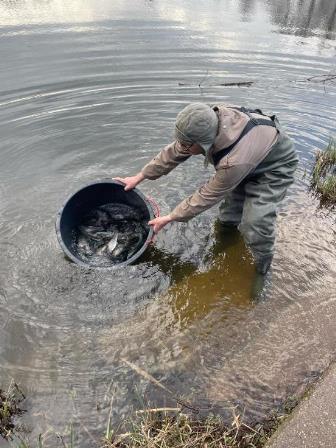 20240309_einsetzen_forellen_2