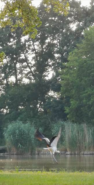 75172489-a788-4c13-ae22-bcdf7e250ef9