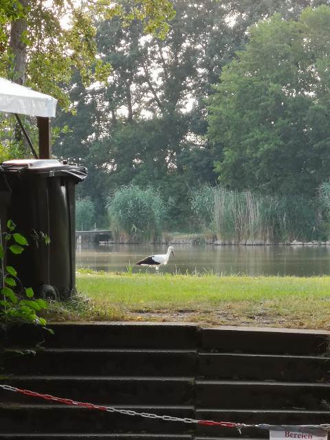 8b701c7e-3d4a-4df6-a372-d1d245e7d4bd