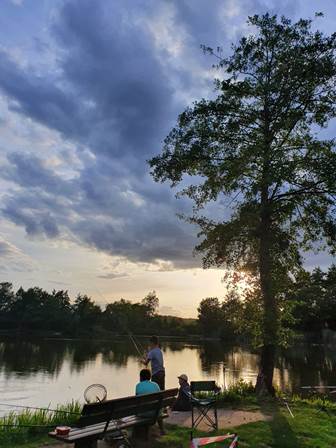 8c112ca1-5359-4d9b-ad46-8996715ee640