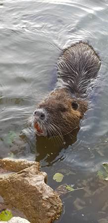 96f599b1-ae42-4e47-b3ce-44c409900153