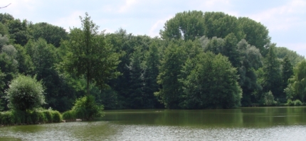 Öffentlichkeitsarbeit