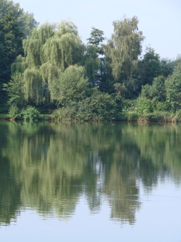 DSC06250__
