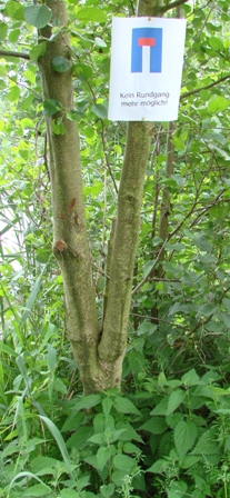 DSC07270