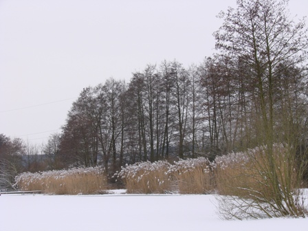 DSC08343
