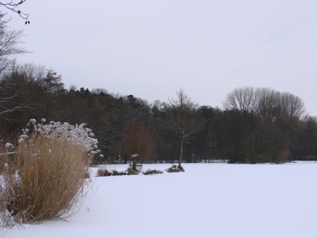 DSC08344