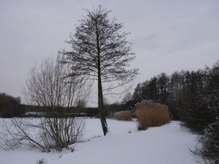 DSC08346