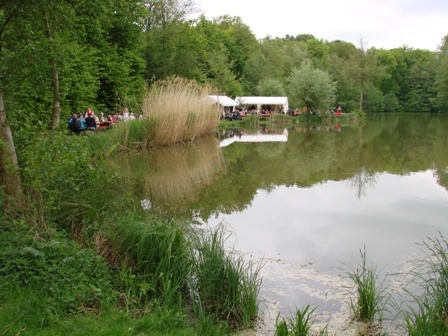 DSC08484