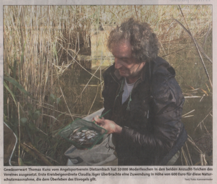 Dietzenbach_StadtPost_2013_11_21_Besatz_Moderlieschen_Teil2