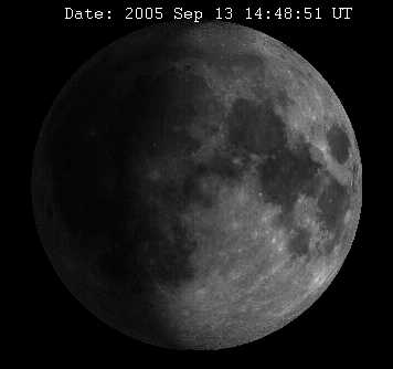 Bild24