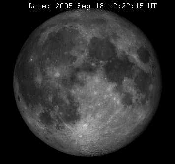 Bild33