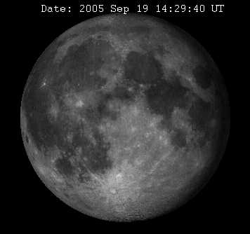Bild35