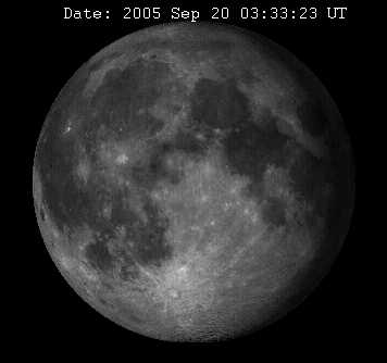 Bild36