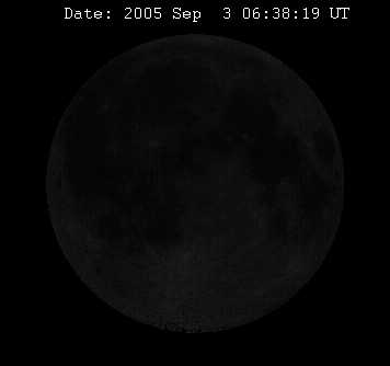Bild5