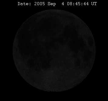 Bild7