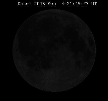 Bild8