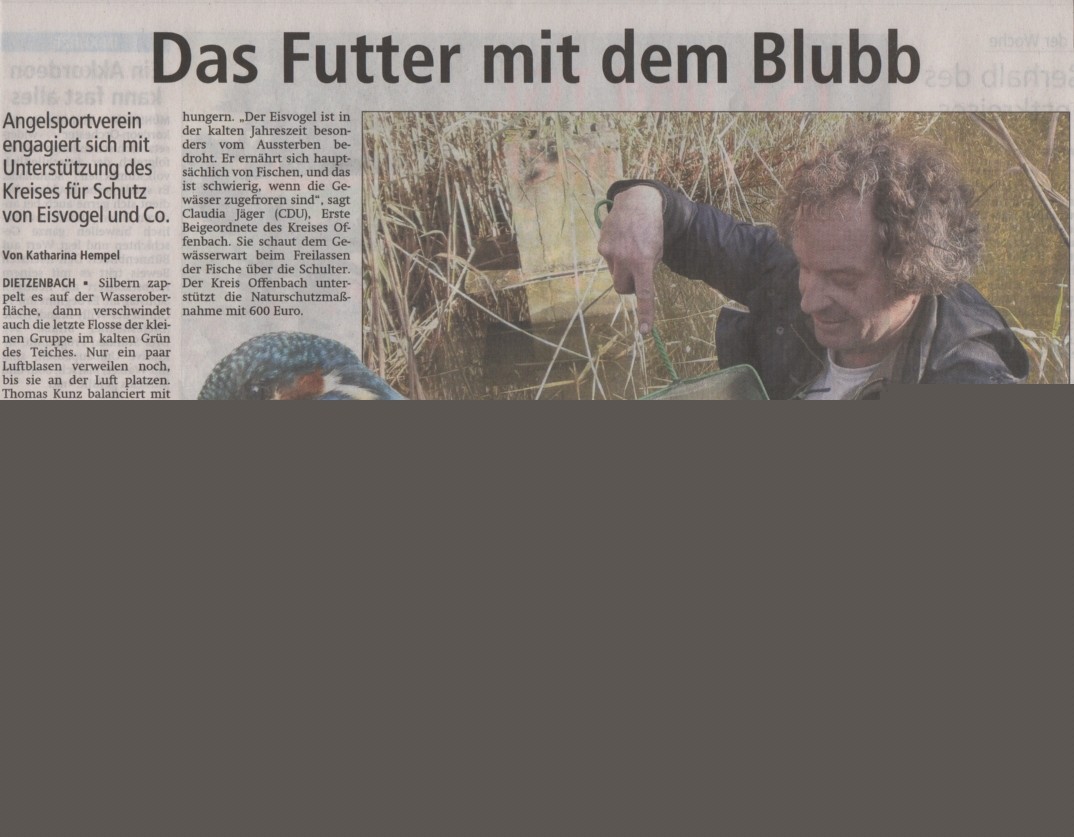 Offenbach_Post_2013_11_16_Besatz_Moderlieschen