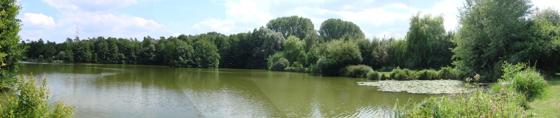 Angelseee, Angelteich, Ansicht, Panorama, Einlauf