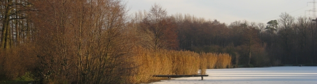 Steg_Angelteich_Winter