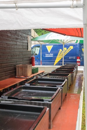 Vatertag_2017__25_von_21_