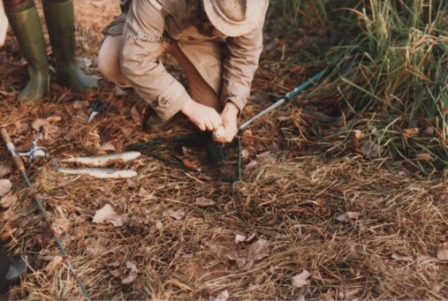 Wolfgang_Speckmann_No1