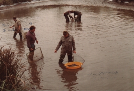 Wolfgang_Speckmann_No65