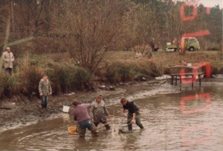 Wolfgang_Speckmann_No84