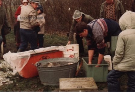 Wolfgang_Speckmann_No86