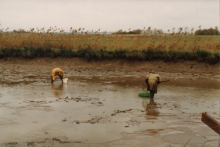 Wolfgang_Speckmann_No91