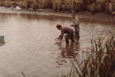 Wolfgang_Speckmann_No94