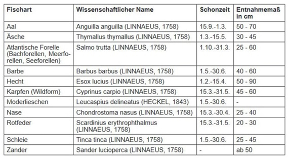 neue_ordnung_vergroessert
