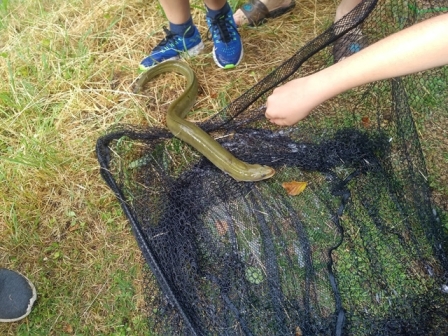 s_IMG_20190620_1750363